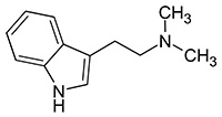 dmt3